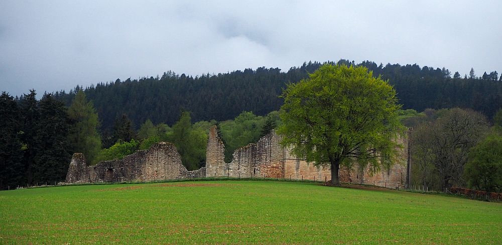 a ruined stone wall in a field, backed by a wooded hill