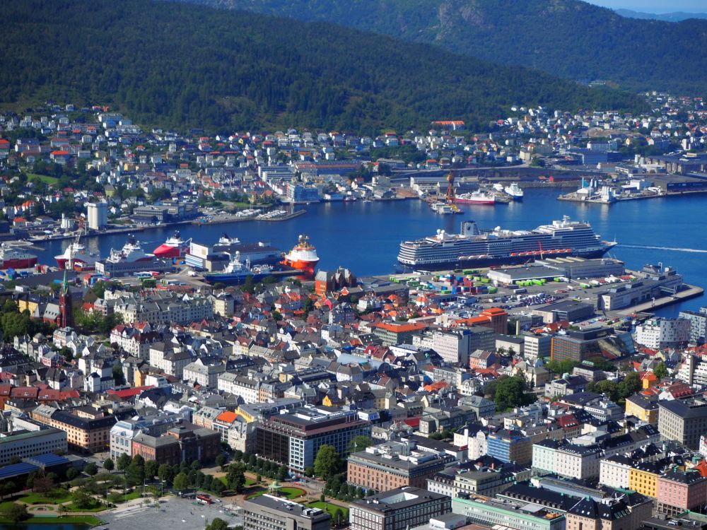 A distant view overlooking a densely packed city, but without skyscrapers, and, beyond it, a port with various sorts of ships. Beyond that, mountains rise in the background.