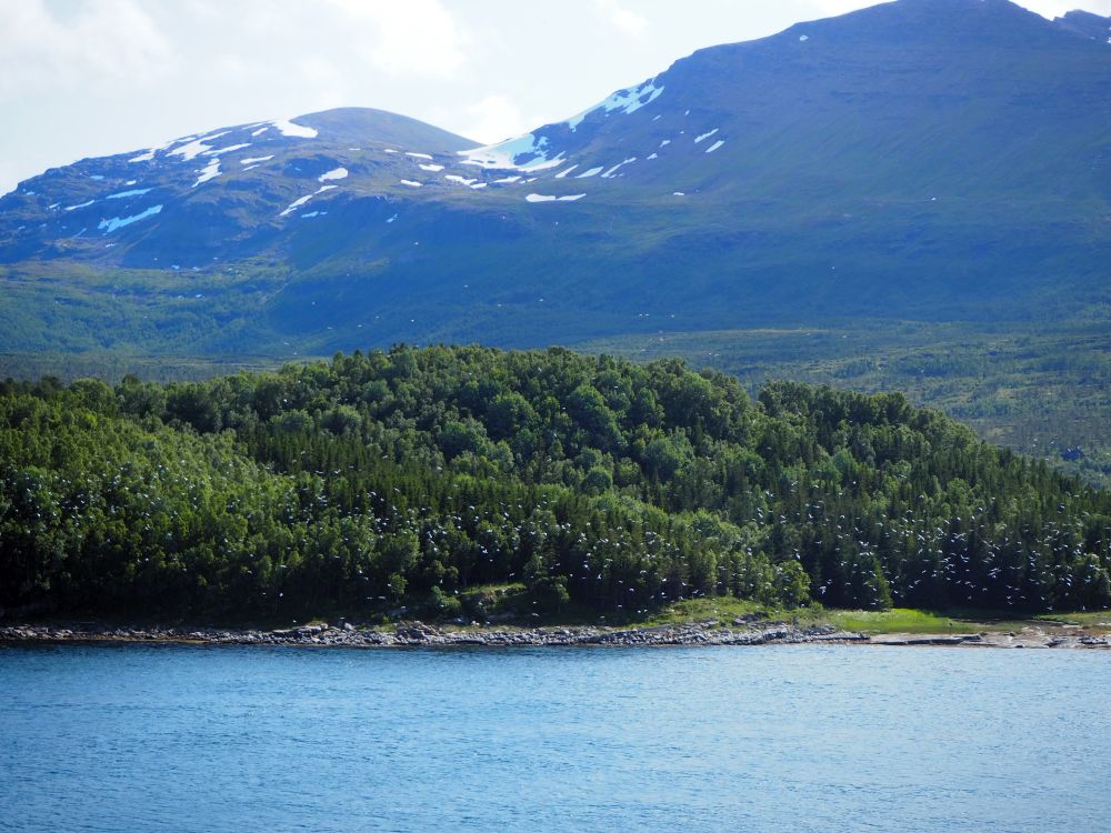 tree-covered land in the foreground. Behind: high mountains with a bit of snow in the creases.