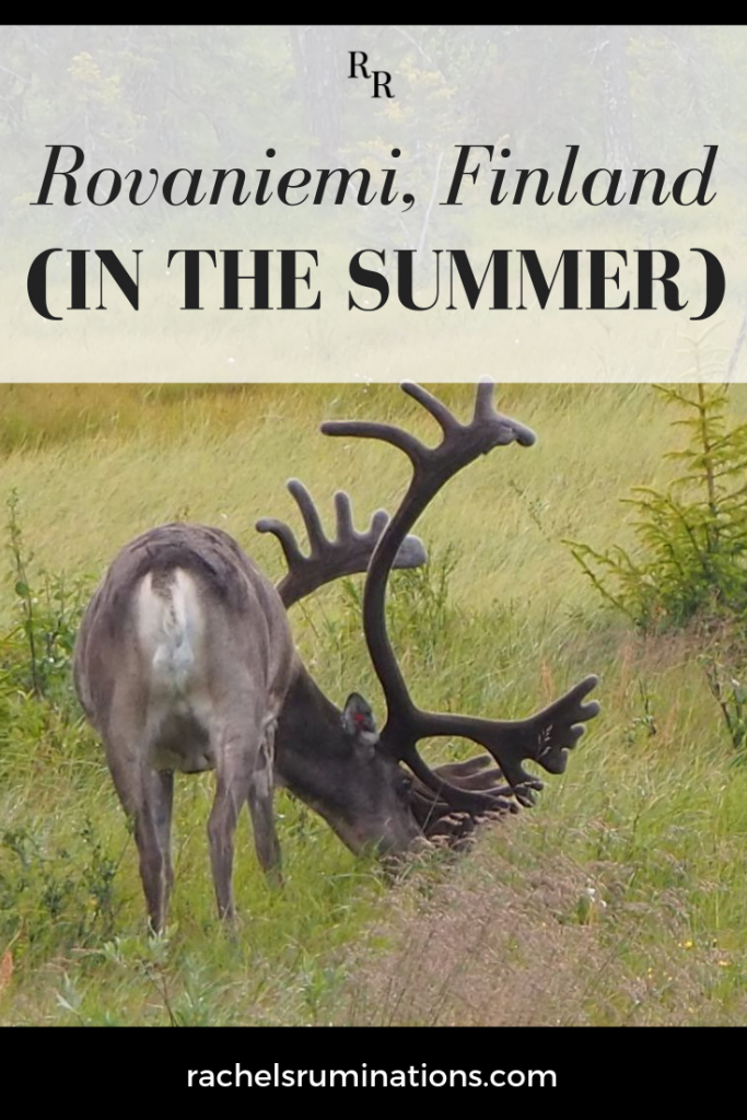 Pinnable image
Text: Rovaniemi, Finland (in the summer)
Image: a reindeer with enormous antlers, grazing.