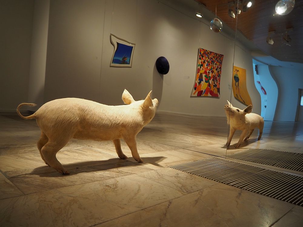  A life-sized figure of a pig looks at its own image in a wall-sized mirror. Other artworks are visible, reflected and distorted in the mirror.