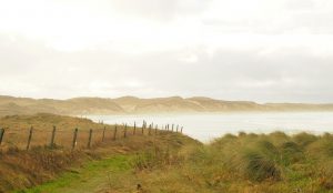 A brown, misty view from the land, overlooking a curved bay, with low brown land beyond.