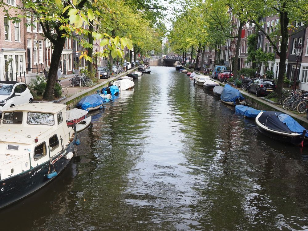 A view down a canal. Canal houses are visible on each side as well as a row of green-leafed trees next to the canal. IN the water, each side is lined with moored small boats.