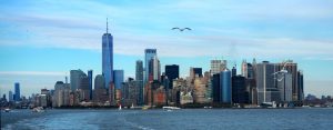 A New York City skyline. The tallest visible building is the new World Trade Center tower among many other towers. A seagull flies nearby in the middle heading toward the camera.