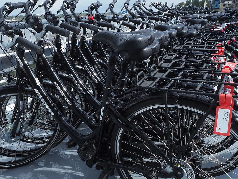 A row of black bikes, lined up very close to each other.