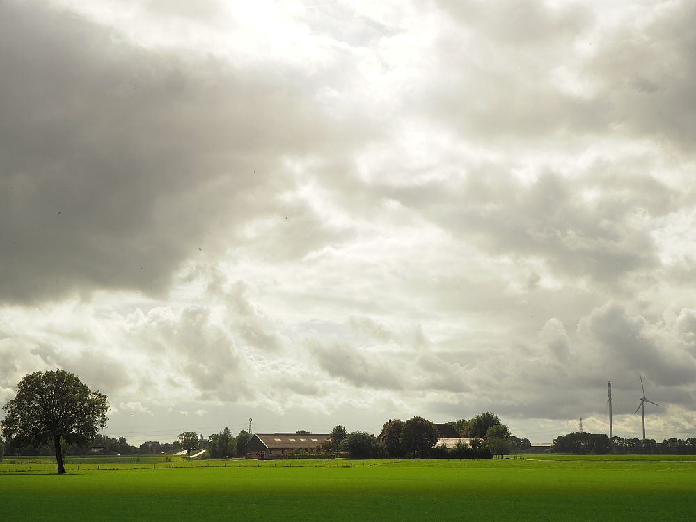 At the bottom of the photo is a flat, green field with in the background, a cluster of low buildings surrounded by trees: a barn and farmhouse. To the left is a lone tree in the field and to the right is a tall windmill.