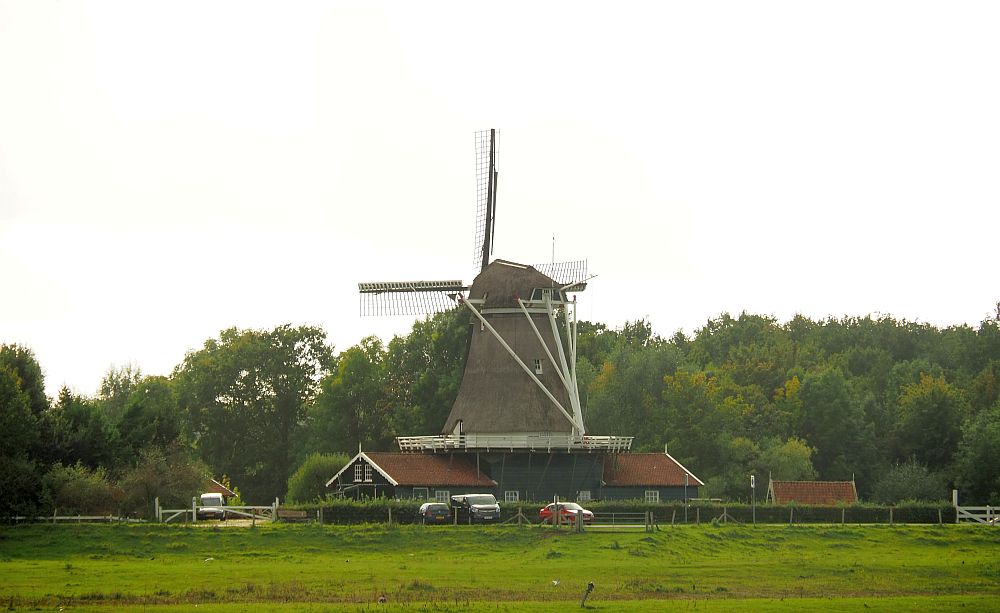 A classic Dutch windmill. There are no sails on the vanes so it's not turning. It's a large type of several stories tall, with a top piece that can be rotated to face the wind. It has two houses attached on either side, and a balcony at its bottom at the height of the houses' roof.