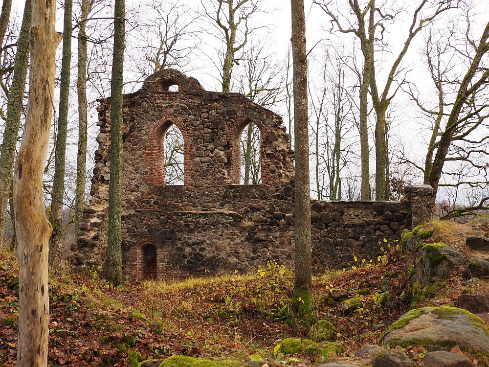 One stone wall stands, with two remaining arched window frames. Trees grow all around and through the piles of rocks around the wall.