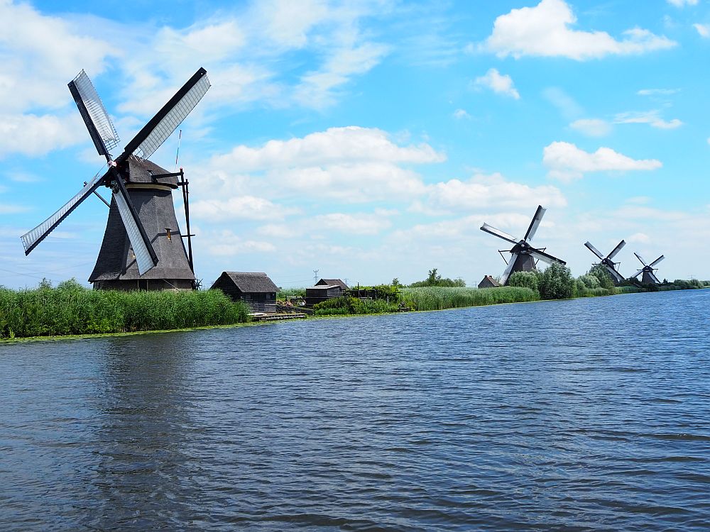 An image of how Americans see the Dutch: a row of 4 old-fashioned windmills along a canal (or river).