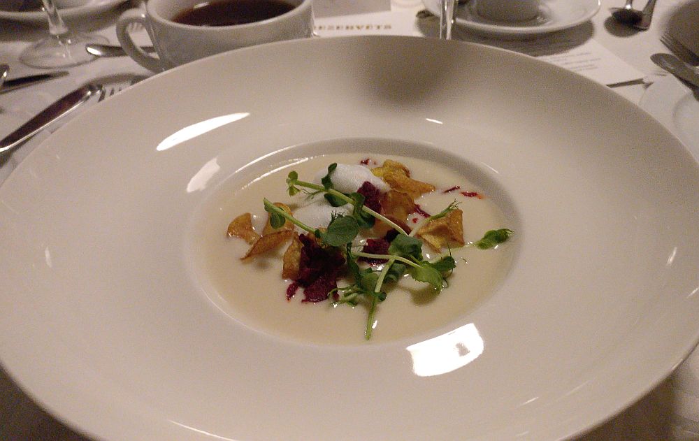 A white bowl with a very large brim holds just a small portion of soup. The soup is white with small brown bits floating in it as well as a few twigs of greens.