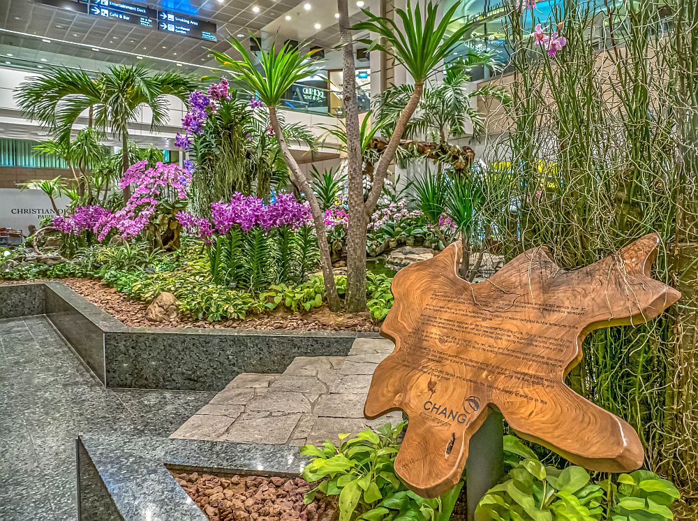 A marble pathway with tropical plantings in raised beds beside it. In the center, on the other side of the pathway, a clump of bright purple orchids. 