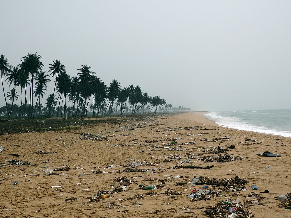 The beach extends straight ahead, with a row of tall palm trees along the left and the edge of the ocean on the right. The waves aren't huge but the edge of the water is white with foam. The sand down the center of the picture is light brown and strewn with trash (many plastic bottles) and dead seaweed and leaves. 