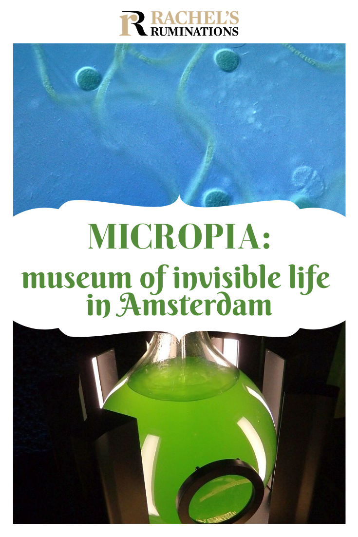 Micropia Museum is remarkably successful, considering that it's all about creatures that are invisible to the naked eye! Not for those with a weak stomach! #amsterdam #micropia #artiszoo via @rachelsruminations