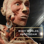 Text: Body Worlds Amsterdam: Education or entertainment. Image: a plastinate man's head.