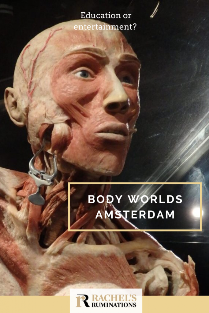 Pinnable image
Text: Education or entertainment?Body Worlds Amsterdam 
Image, close-up of a plastinate man's head. 