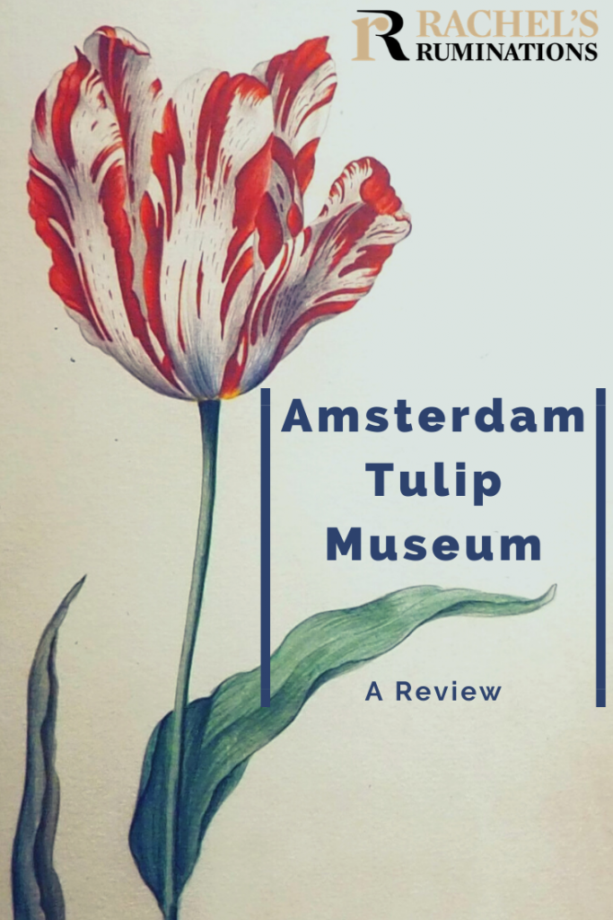 Pinnable image
Text: Amsterdam Tulip Museum: A review (and the Rachel's Ruminations logo)
Image: the "broken" red tulip