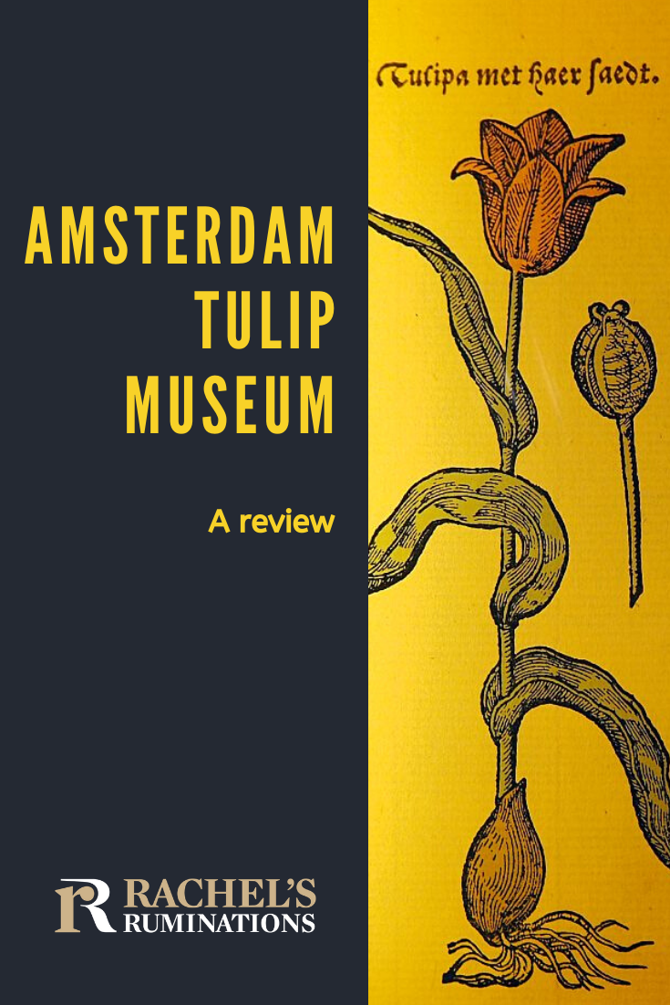 The Amsterdam Tulip Museum is surprisingly interesting, especially when it tells the story of the tulip mania: the Dutch bulb-buying bubble that burst. via @rachelsruminations