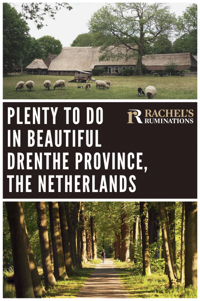 Pinnable image
Text: Plenty to do in beautiful Drenthe province, the Netherlands
Images: above: the farmhouse with sheep at Orvelte. Below, the tree-lined path at Havezate Mensinge.