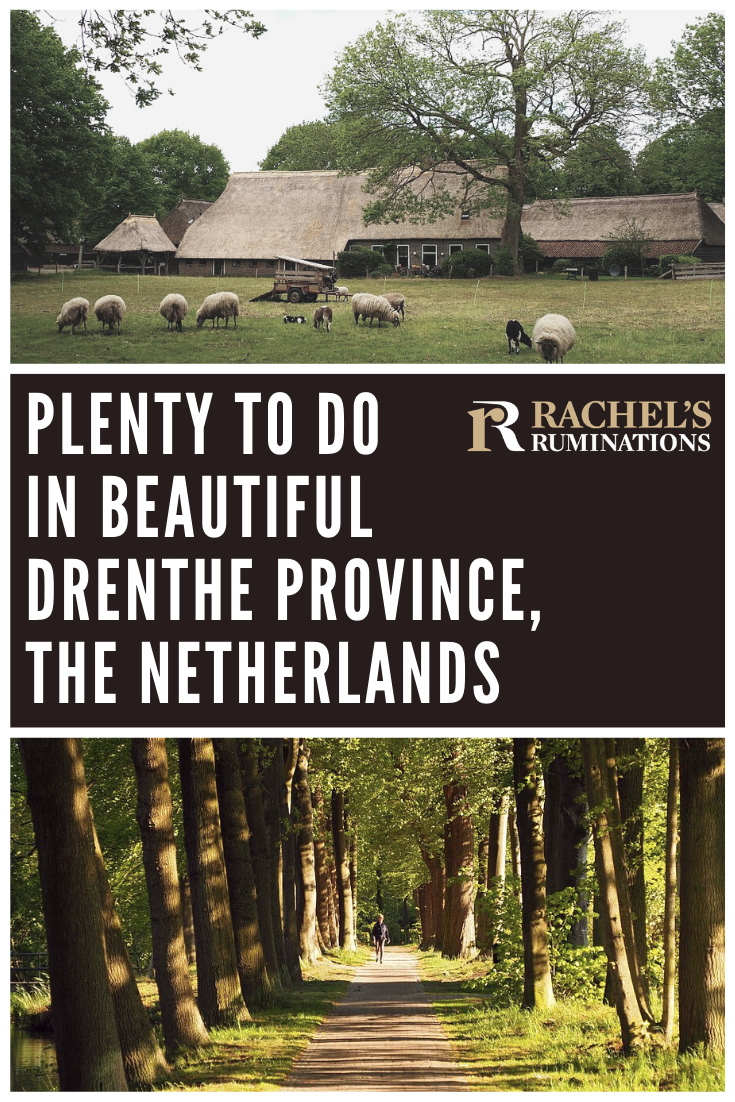 Drenthe province in the east of the Netherlands offers plenty of things to do, ranging from ancient to modern and weird to wonderful. Click here to see the list and avoid the tourist crowds. #drenthe #netherlands #drentheprovince via @rachelsruminations