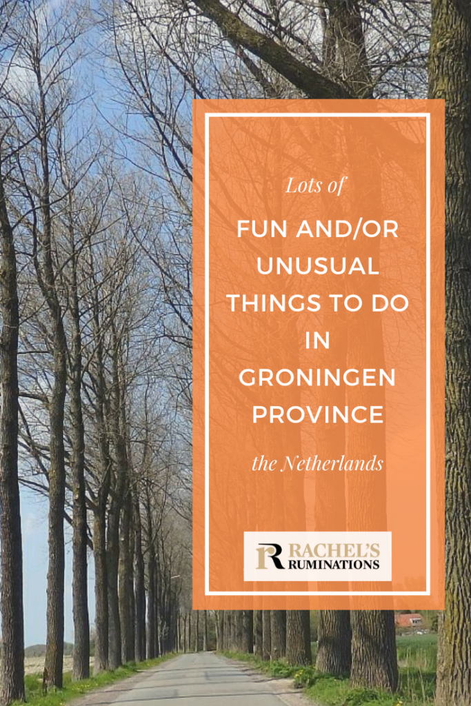 Pinnable image
Text: Lots of fun and/or unusual things to do in Groningen province, the Netherlands.
Image: a road going straight ahead into the distance, a row of trees without leaves lining either side.