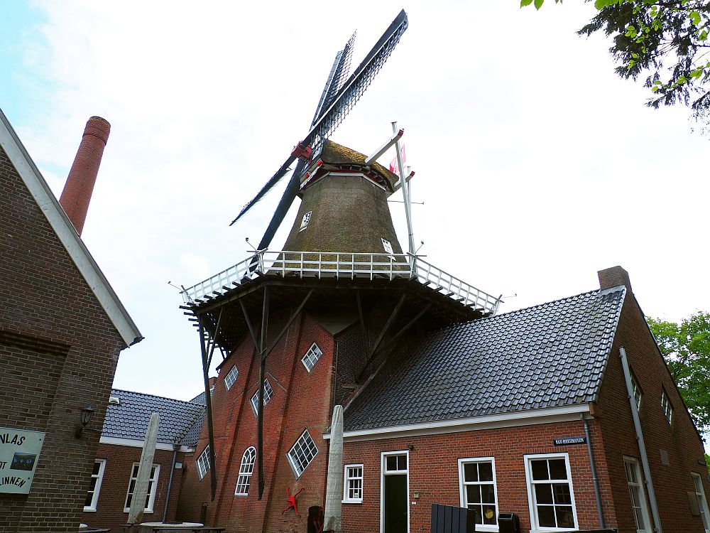 A large windmill atop a red-brick building. The platform around the bottom of the windmill is right at the level of the highest peak of the building's roof. The building is on both sides of the windmill. The  building is single story, but the base of the windmill has two stories, and, unusually, it's windows are rotated squares, i.e. with one corner at the top middle. The sides of the windmill above its platform are covered in thatch.