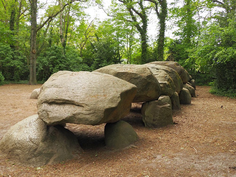 The hunebed is a line of stones in groups of three: two on the ground, perhaps a meter apart, one bigger one standing on them across the space between. Then another pile of three behind them and so on. They get progressively bigger along the line. This view, taken from the end, shows about 7 of these piles of three.