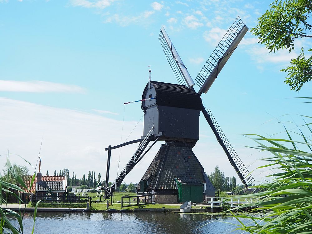 This kind of windmill is shaped differently than the other. The base is like a house, but with a very high, steep roof. Perched on top is the windmill, shaped a bit like a square barn with a sloped roof. This part can rotate, while the bottom part sits on the ground. the windvanes are on the right side of the upper part in this view. 