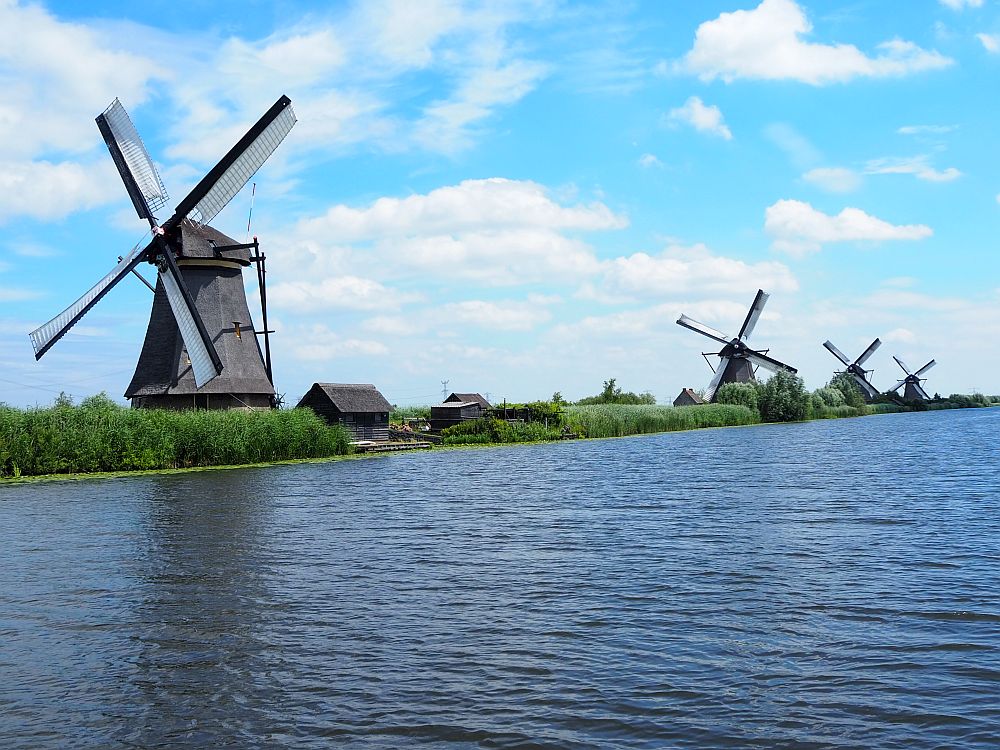 Kinderdijk or Zaanse Schans? Looking over the water, the opposite bank in liked with grey thatched octagonal windmills. In this photo, 4 are visible, with the nearest one largest.