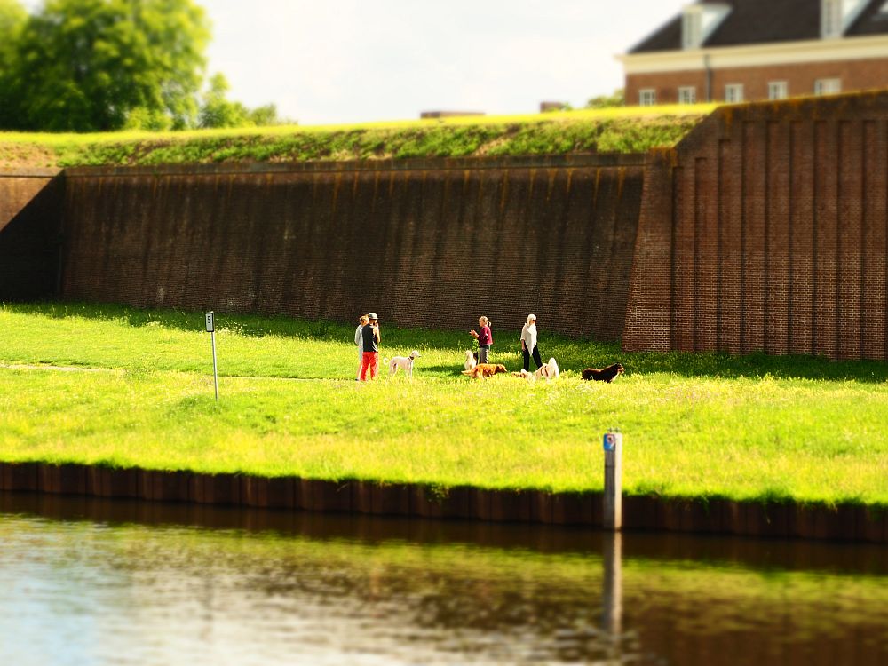 A large, plain brick wall, that appears to be a retaining wall, judging by the earth covered with grass at the top. In front of it, on a grassy strip of land, a group of 5 people stand with their dogs on leashes. In the foreground, water (the river).