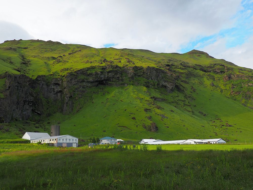 A wide grass-covered mountain. In front of it, several buildings. The one on the left is white and has a lot of windows and is probably a barn. The middle one looks like a suburban house: gray with a blue roof. The right-hand one is only partly visible due to curvature of the land in front of it. It is a long low building with a white roof. All of the buildings look small in front of the mountain.