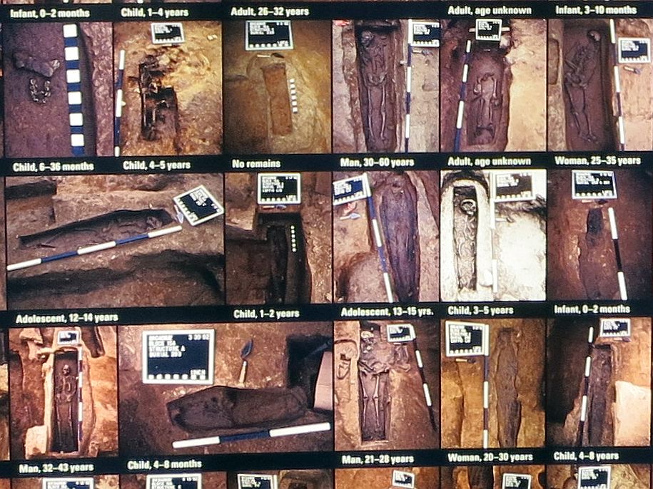 A piece of the photo of the African Burial Ground graves above, this one shows three rows of the photos: 6 photos in the top row, 5 in the middle row and 5 in the bottom row. In this view more is visible and the captions can be read, e.g. "infant, 0-2 months." Each grave has been cut out of the ground and the skeleton lies in it with a measuring stick, black and white, lying next to it.