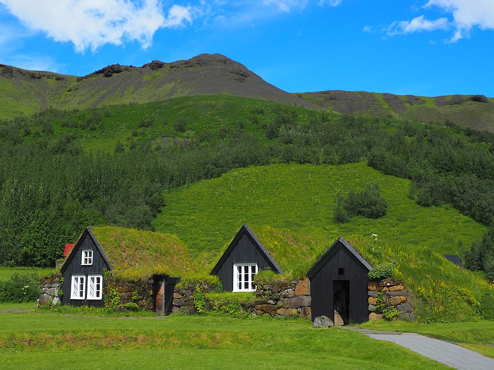 Three wooden fronts, all of them brown. The left two have windows: three on the furthest left and one on the middle one. The one on the right just has an open door. All are covered in green grassy turf that extends down over the side walls to the ground. Behind them is a grassy mountain.