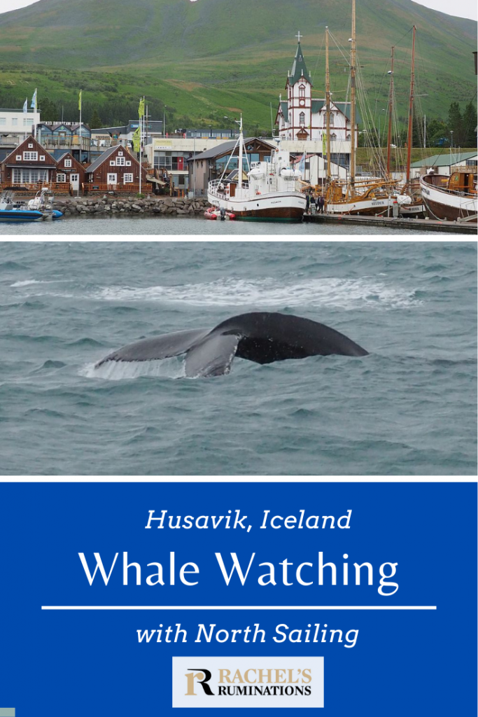 Pinnable image
Text: Husavik, Iceland Whale Watching with North Sailing
Images: above: Husavik harbor. Below: the whale's tail