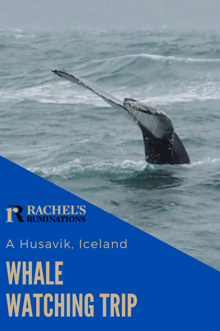 Our Husavik whale watching trip with North Sailing didn't go quite as I'd hoped. The weather was terrible, but I'd do it again in a heartbeat! via @rachelsruminations