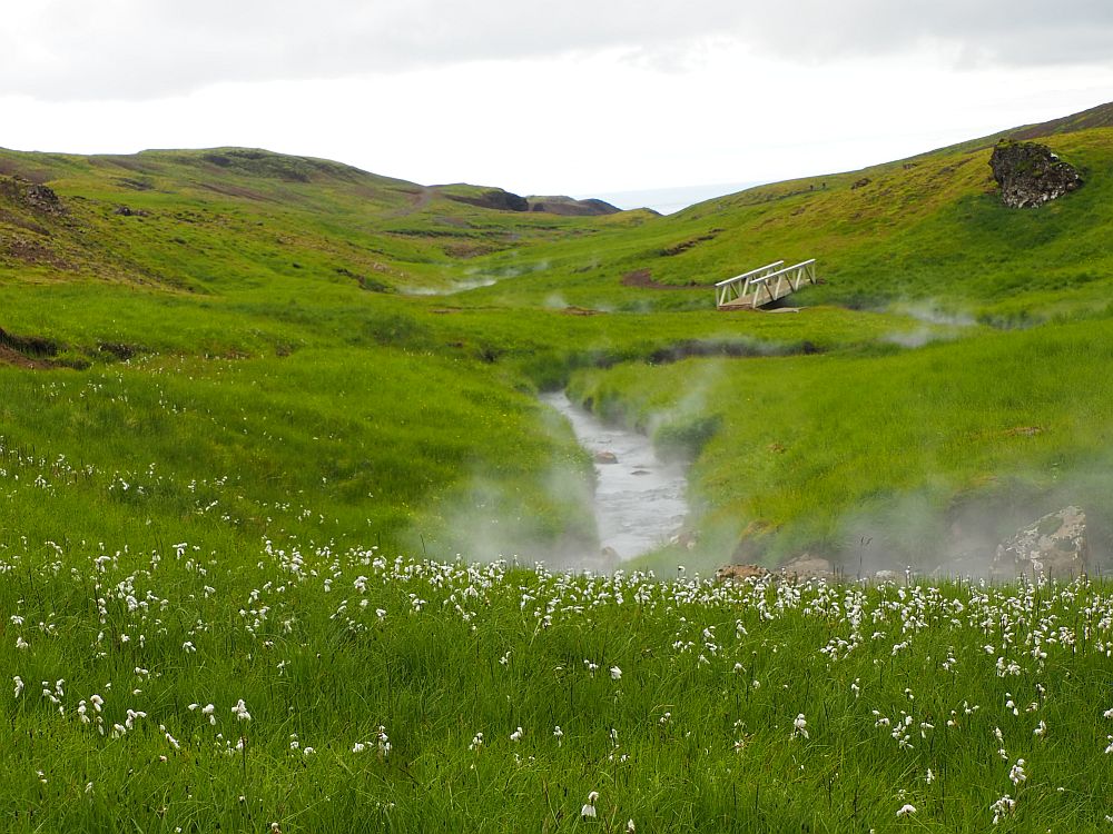 A shallow valley covered in green grass, with, in the foreground, a scattering of white flowers. Straight ahead is a narrow stream, and steam rises from it. The stream meanders a bit down the floor of the valley into the distance. At one point a small bridge with railings crosses it. 