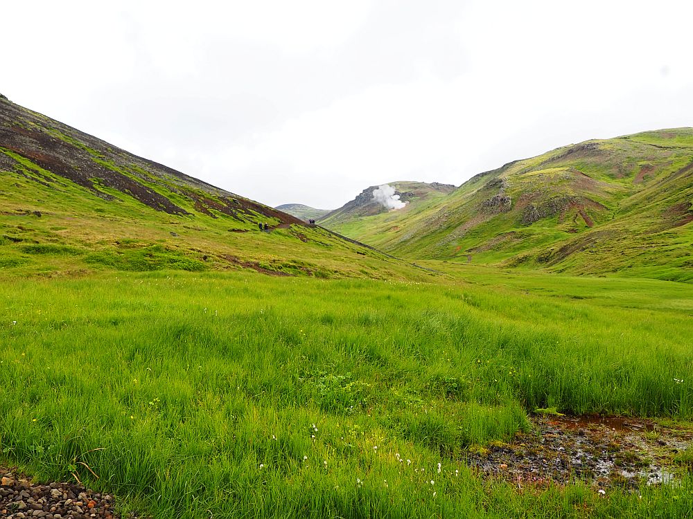 A grass-covered valley stretches ahead with hills, also grass-covered, on either side. The sky is white and a cloud of steam is visible down the valley. 