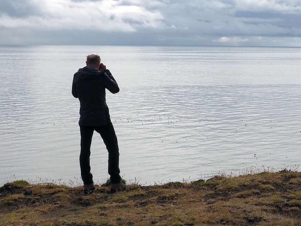 The edge of a cliff, with just the sea and the cloudy sky beyond. On the edge stands Albert, back to the camera. He is peering through his binoculars at birds that look like dots floating on the surface of the sea.