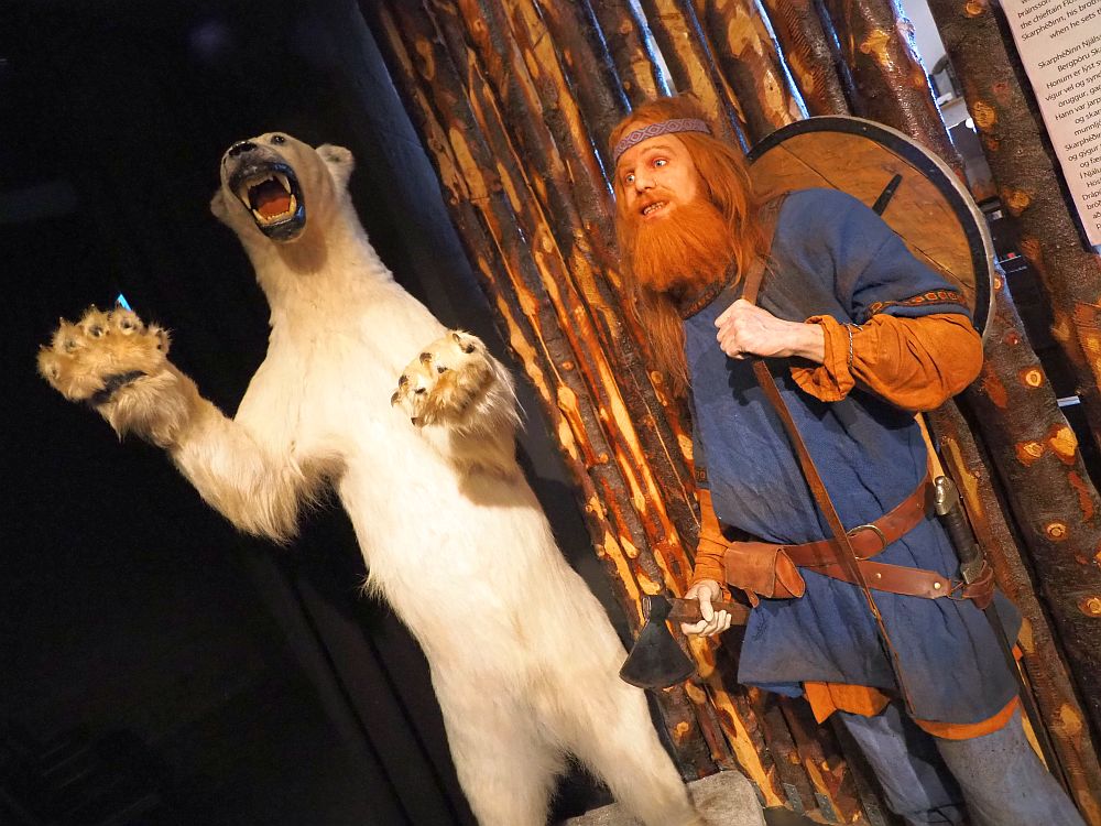 On the left, a polar bear stands on its hind legs, mouth open to show teeth, front paws looking threatening. On the right, a lifelike wax figure of a Viking, hoding an axe in one hand and holding a shield onto his back with the other. He has long red hair and a long red beard. He wears a blue long tunic. He and the bear seem to be looking in the same direction.