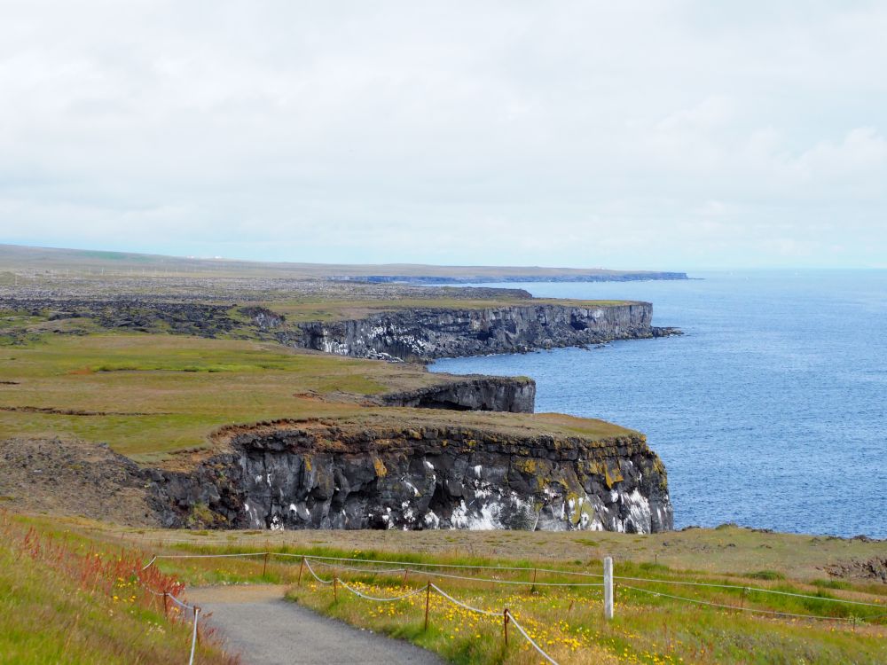 The land here is flat, and the sea has cut cliffs out of it, so the land cuts in and out. This view looks down the coast along the cliffs from the top of the cliffs. The stone is discolored white in many places because so many birds nest there. 