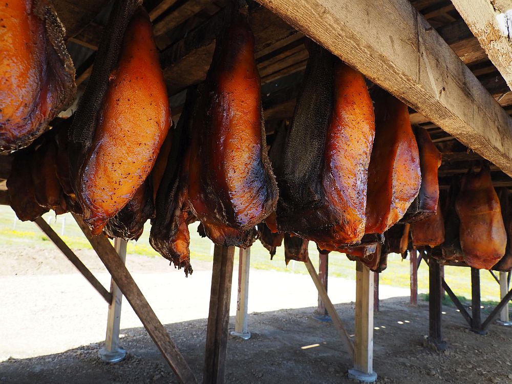 Hunks of shark meat, orangy brown, hang from a wooden roof, which protects them from rain.