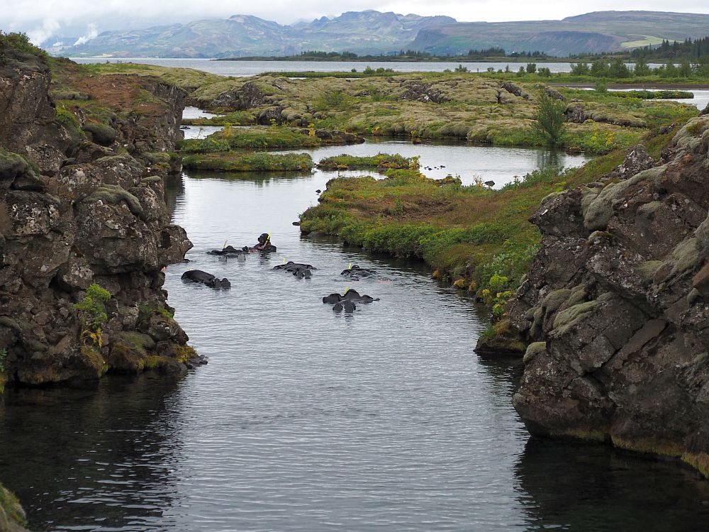 The rift here is filled with water; rocky shores on each side. A group of people in drysuits lie on the water, snorkeling.