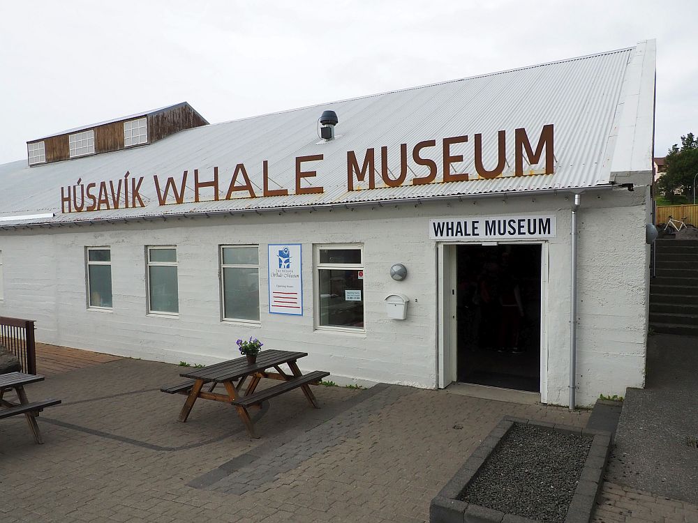 The building that houses the Husavik Whale Museum is whte painted, long and low, with its name in big lettering along the roof edge.