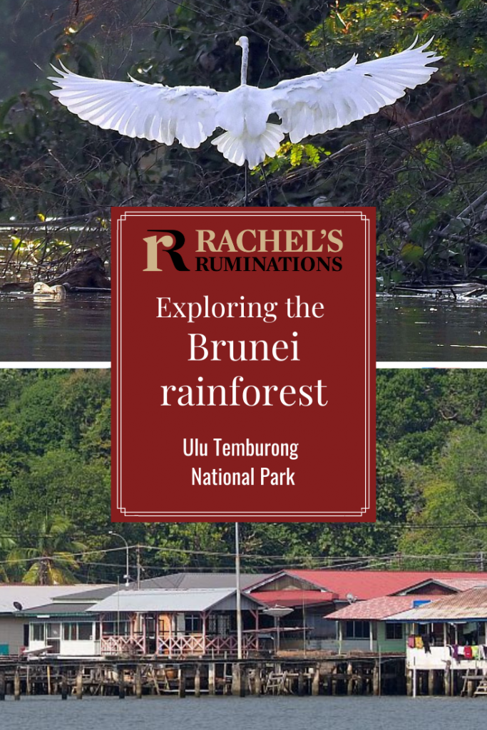 Pinnable image
Text: Exploring the Brunei Rainforest: Ulu Temburong National Park
Images: above, a white crane spreads its wings. Below, a cluster of houses on stilts.