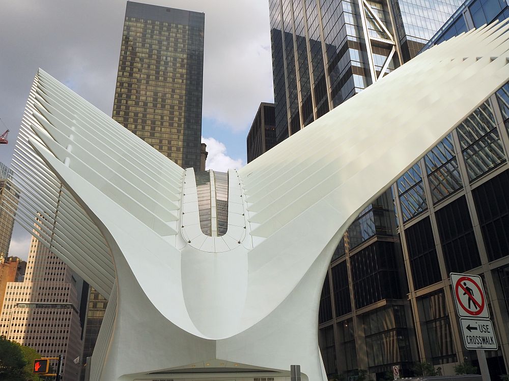 The Oculus is white, which upflung curves like wings on both sides. The "wing" and "feathers" on the left are not as long as on the right.