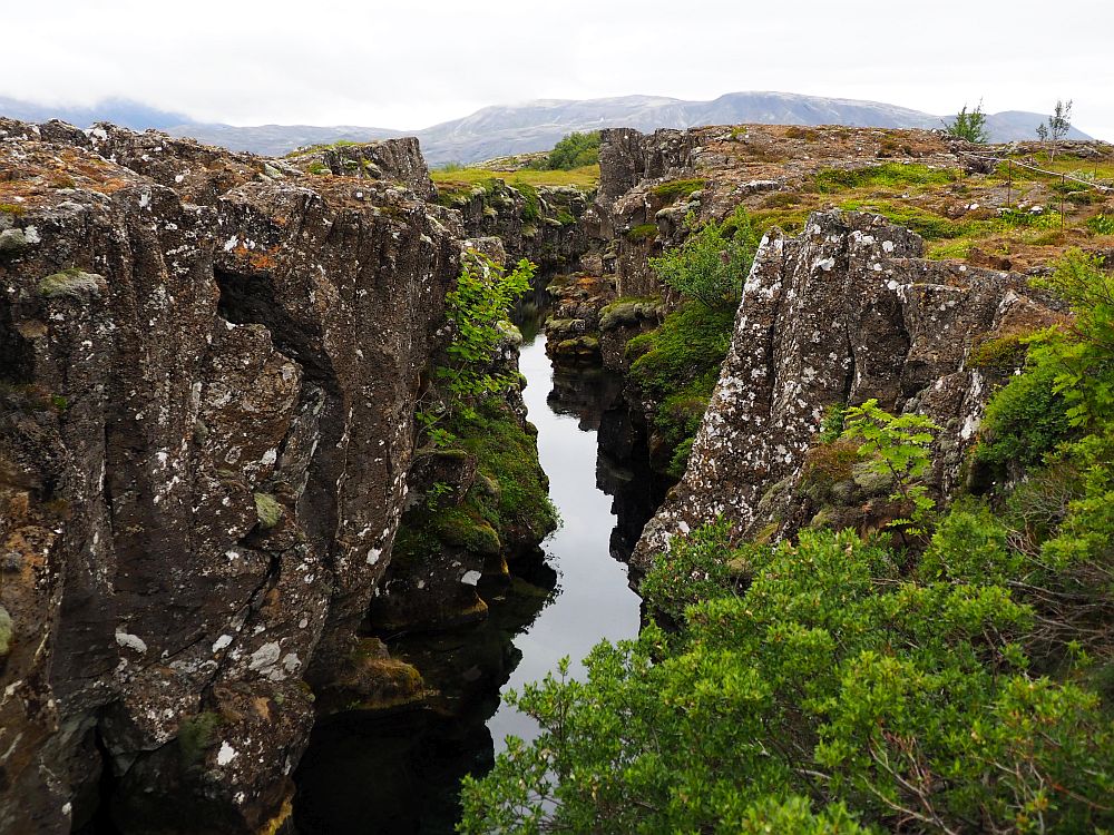 Steep cliffs on either side in dark brown rock with lighter flecks. Between them, a river flows below.