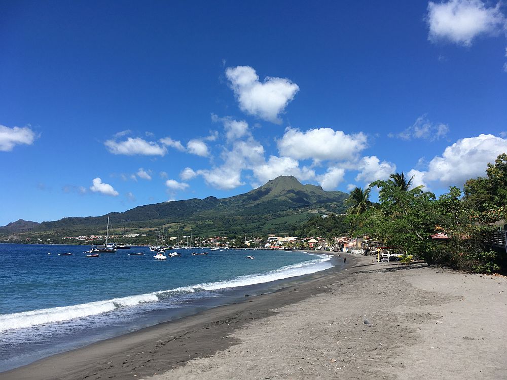 A view along a beach with palm trees along its edge and, in the distance, a small town along the beach. Beyond the town is Mt. Pelee under a blue sky with fluffy clouds.