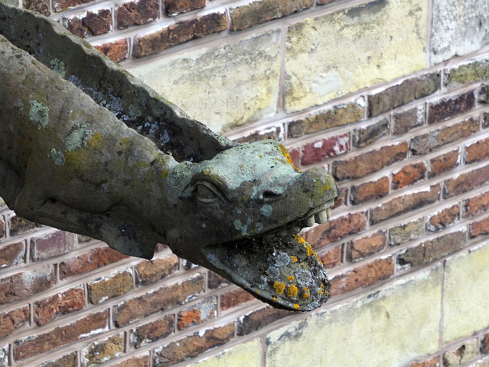 A waterpipe with the face of a lizard or alligator or similar, its mouth wide open showing its teeth.