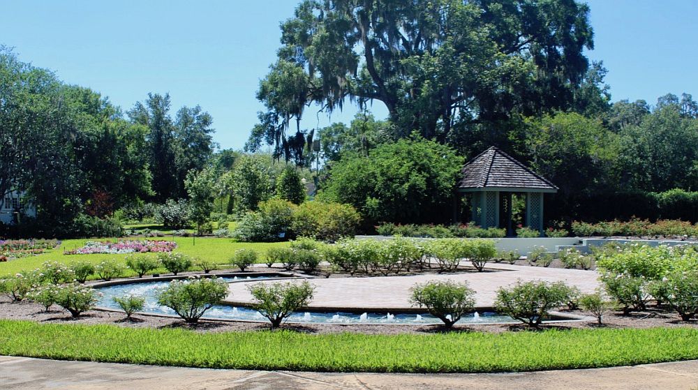 A view across some of the botanical garden. grass and shrubs in the foreground surrounding a low, simple fountain with many low spouts coming out of a semi-circular pond. In the background a large old tree with spanish moss hanging from it, a kiosk of some sort under it. 