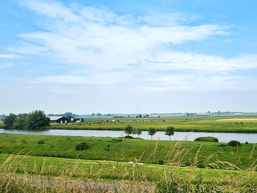 A very flat landscape: canal in the middle distance crossing from left to right. Beyond that, some farm fields with livestock grazing, some farm buildings.