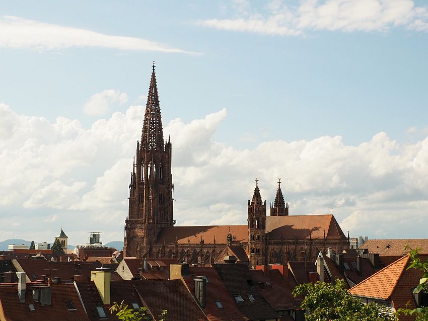 the cathedral seen from about the level of the surrounding rooftops, which are visible in the foreground. The cathedral is seen from the side, with the spire on the left and two smaller spires toward the middle. The spire is latticed so that the sky can be see through lots of holes.